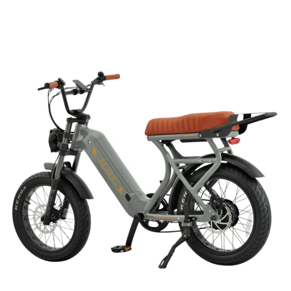 Rever Safari Glide DS Electric Bike