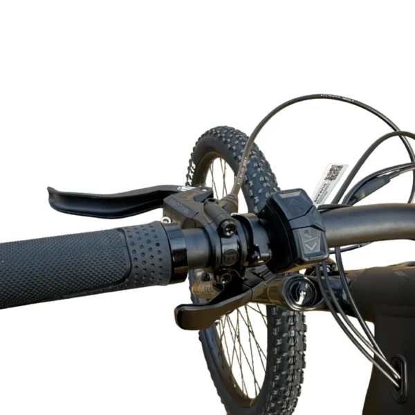 Rever Superior Electric Bike