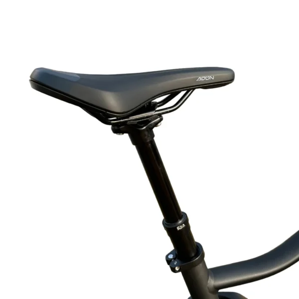 Rever Superior Electric Bike