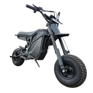 Electro & Co The Rizzler Electric Bike