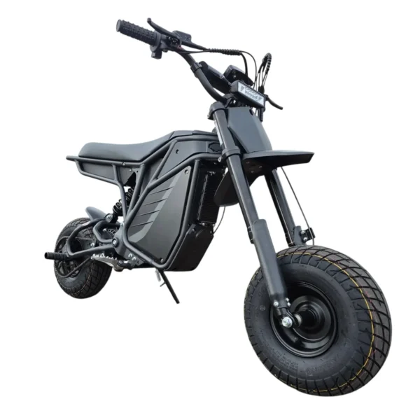 Electro & Co The Rizzler Electric Bike