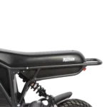 Electro & Co The Rizzler Electric Bike