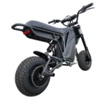 Electro & Co The Rizzler Electric Bike