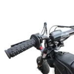 Electro & Co The Rizzler Electric Bike