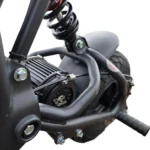 Electro & Co The Rizzler Electric Bike