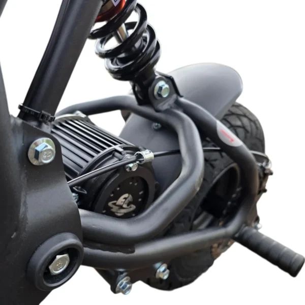 Electro & Co The Rizzler Electric Bike